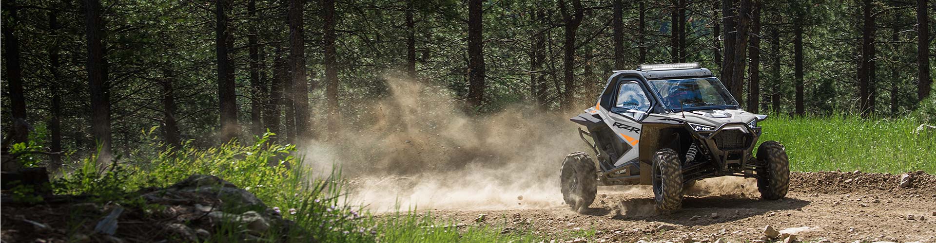 Rzr PRO XP